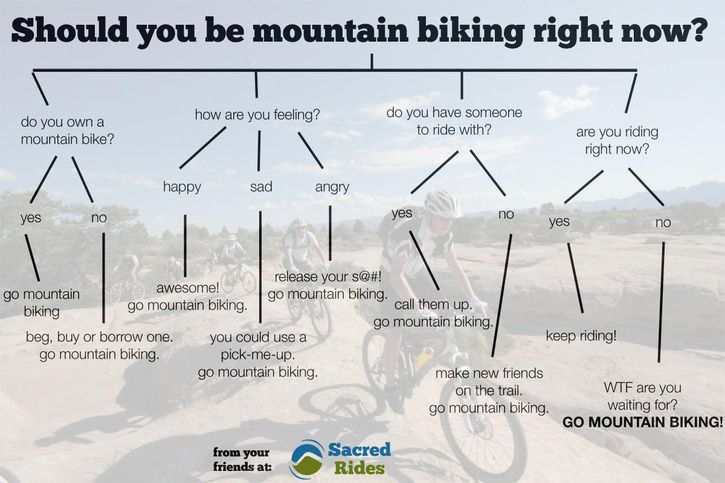 BikingFlowChart.jpg