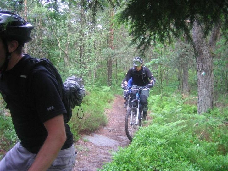 Bild006Medium.jpg