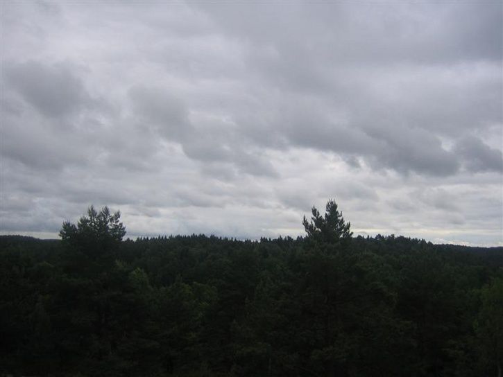 Bild013Medium.jpg