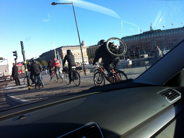 bild1.JPG
