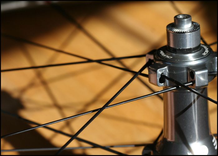 Bild1001copy.jpg ht=500