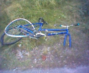 bild17.JPG ht=288