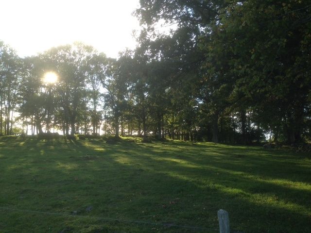 bild2.JPG