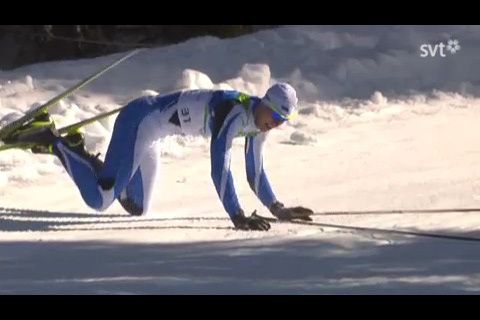 bild-3.jpg ht=320