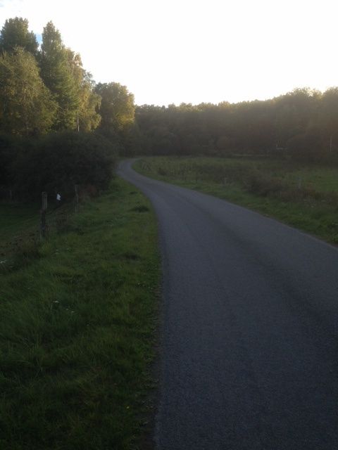 bild4.JPG