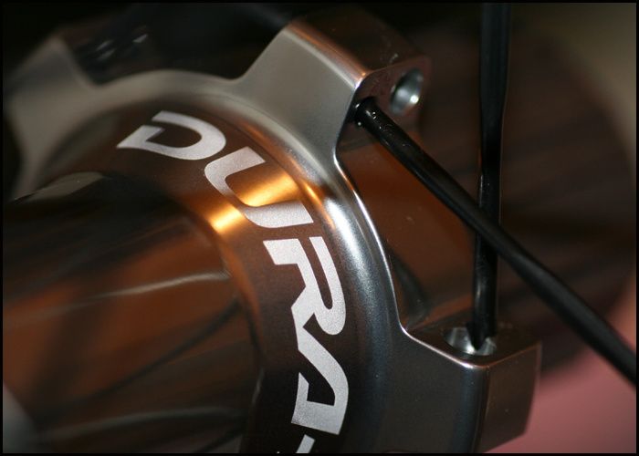 Bild914copy.jpg ht=500