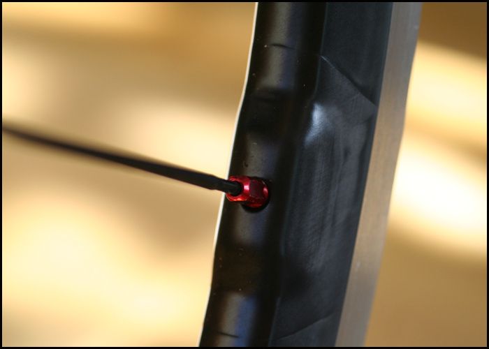 Bild987copy.jpg ht=500