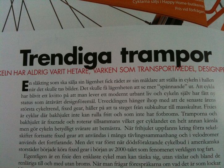 bild.JPG