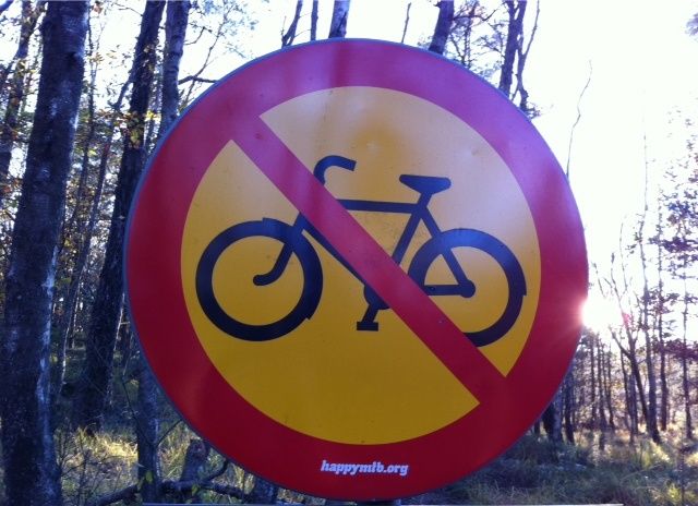 bild.JPG
