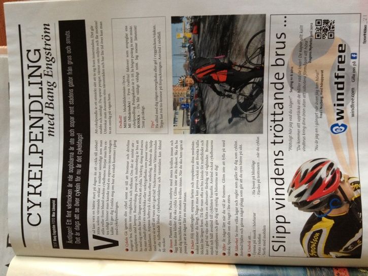 bild.JPG