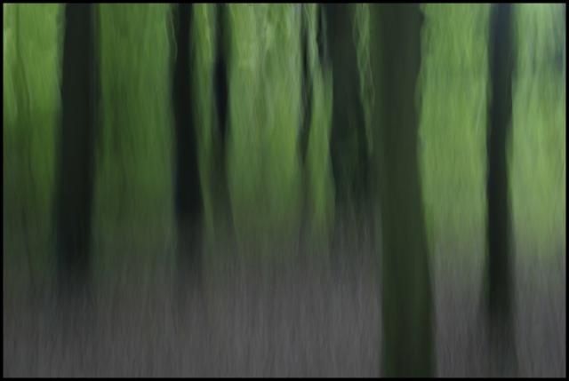 bild.jpg ht=429