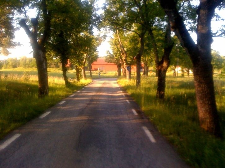 bild.jpg ht=400
