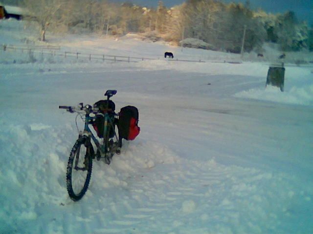 Bild003.jpg ht=480