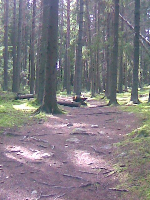 Bild004.jpg ht=640