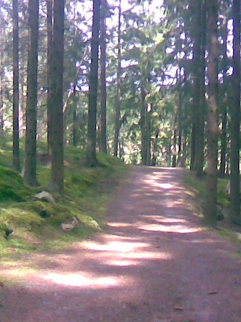 Bild005.jpg ht=640