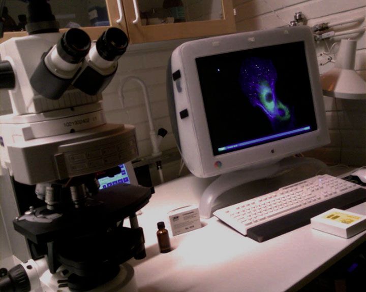 Bild0070PS.jpg ht=576