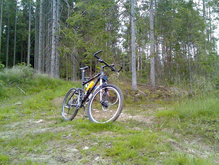 Bild009.jpg ht=544