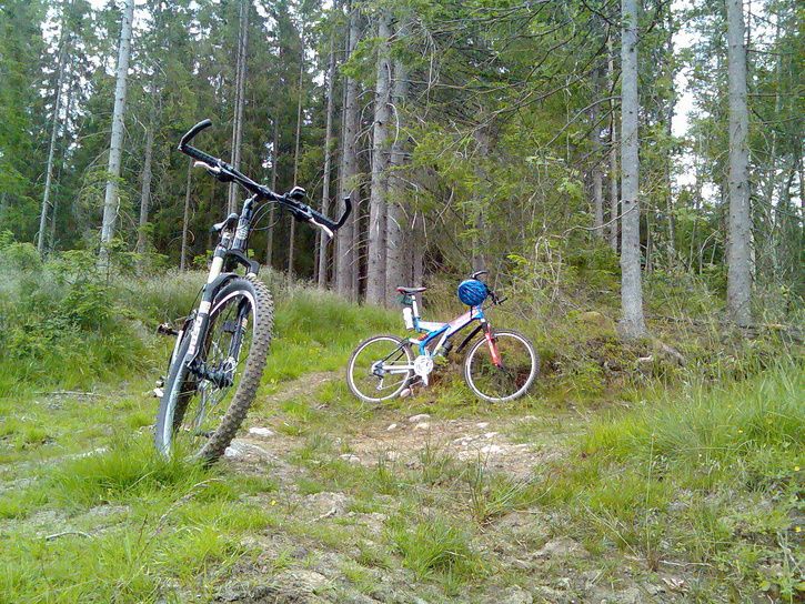 Bild010.jpg ht=544