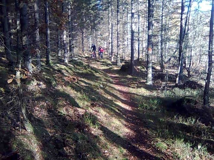 Bild012.jpg ht=544
