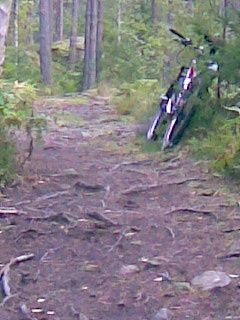 Bild019.jpg ht=320