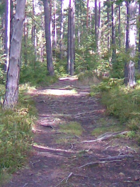 Bild020.jpg ht=640
