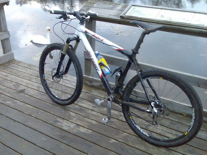 Bild023.jpg ht=544