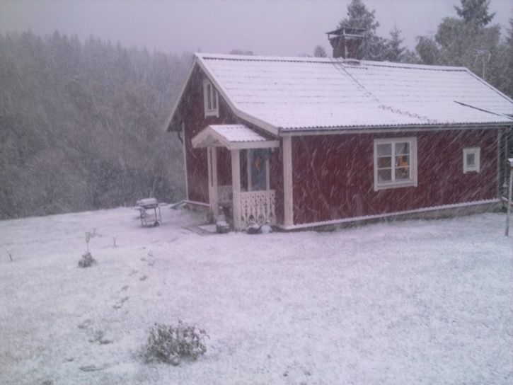 Bild0289.jpg