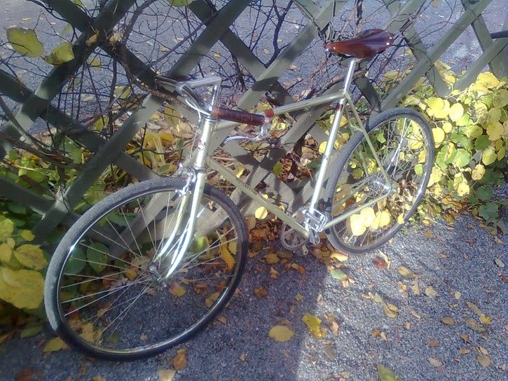 Bild0413.jpg ht=544