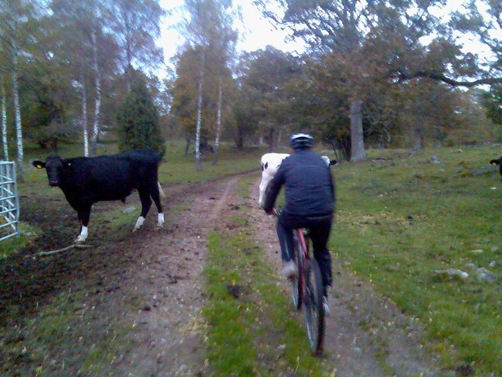 Bild057.jpg ht=544