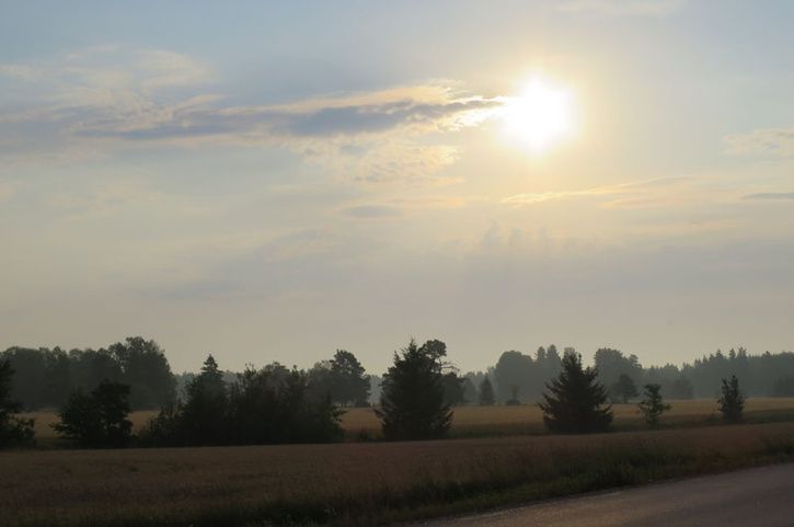 bild1.jpg