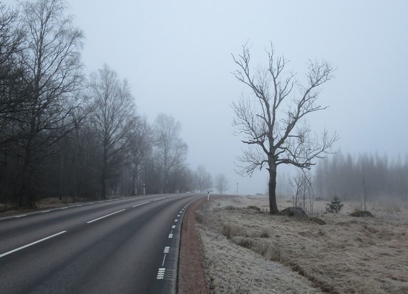 bild1.jpg