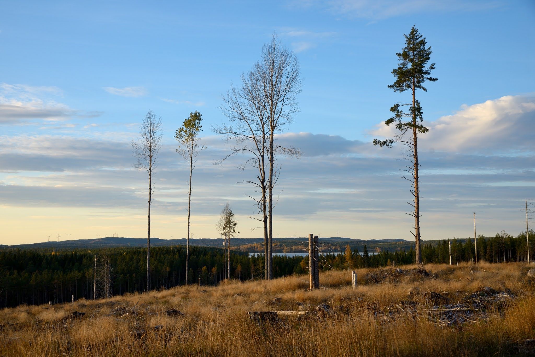 bild10.jpg