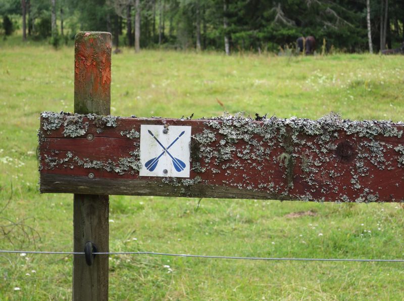 bild12.jpg