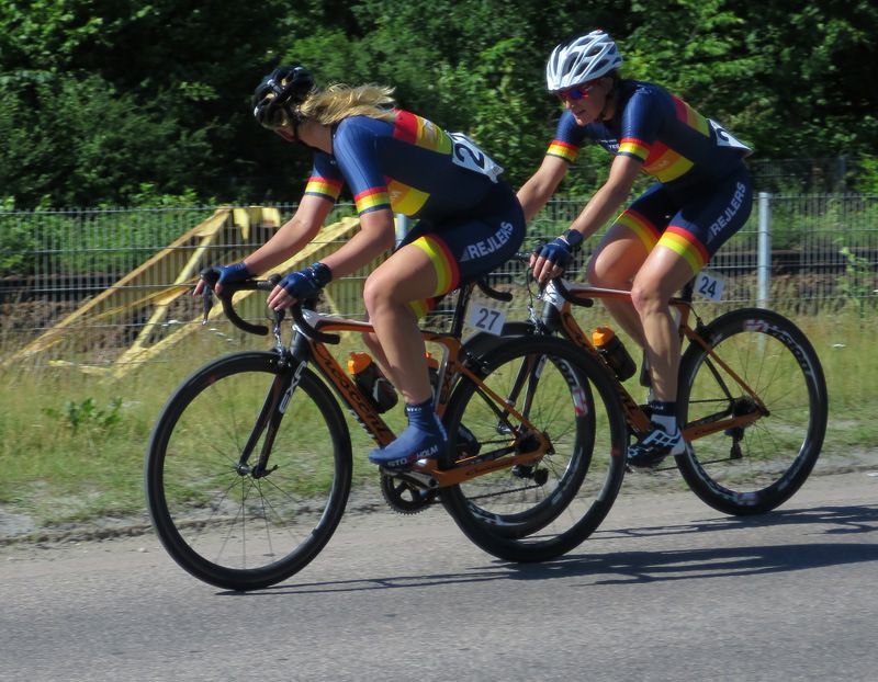 bild14.jpg