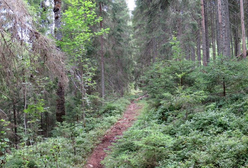 bild14.jpg