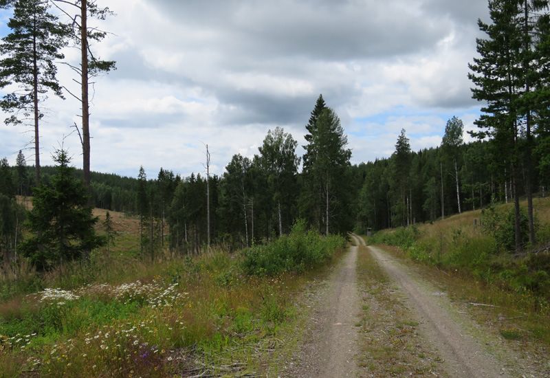 bild15.jpg