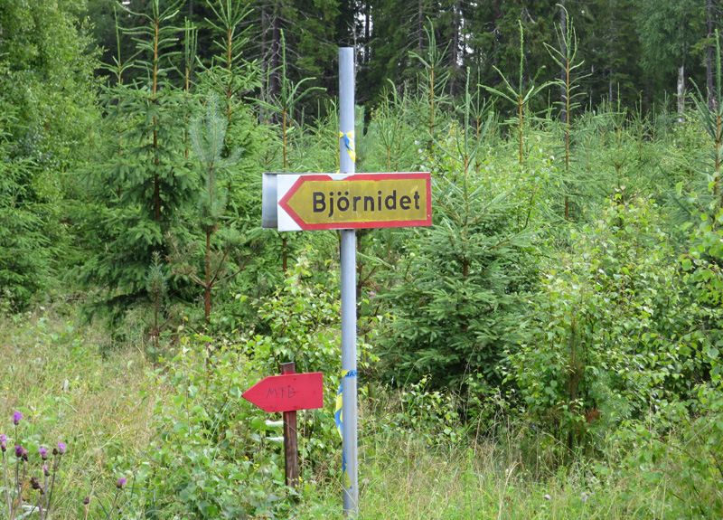bild17.jpg