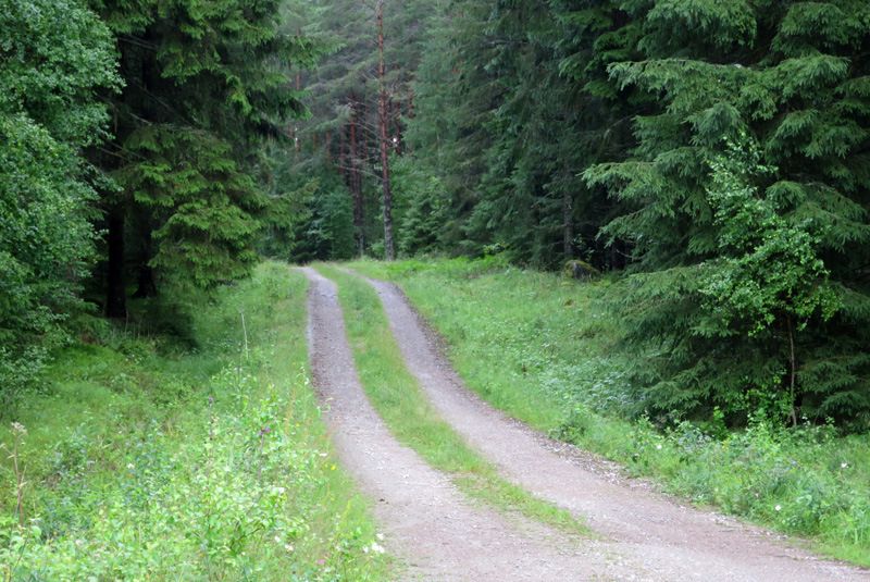 bild18.jpg