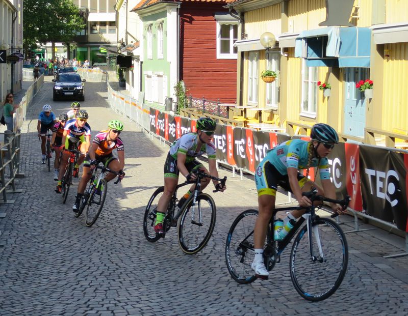 bild19.jpg