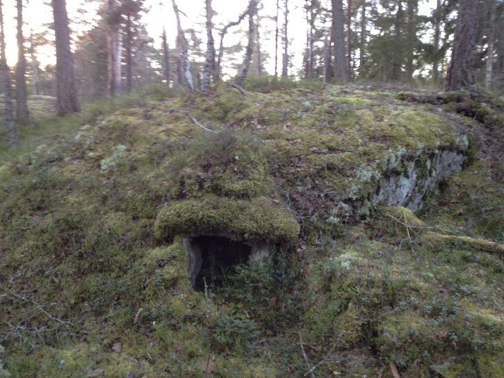 bild2.JPG