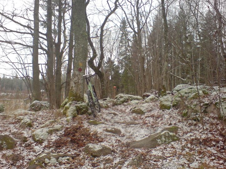 bild2.JPG ht=544
