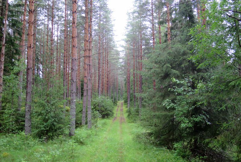 bild20.jpg