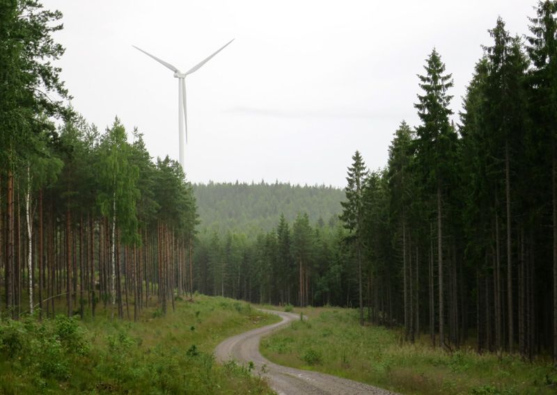 bild25.jpg