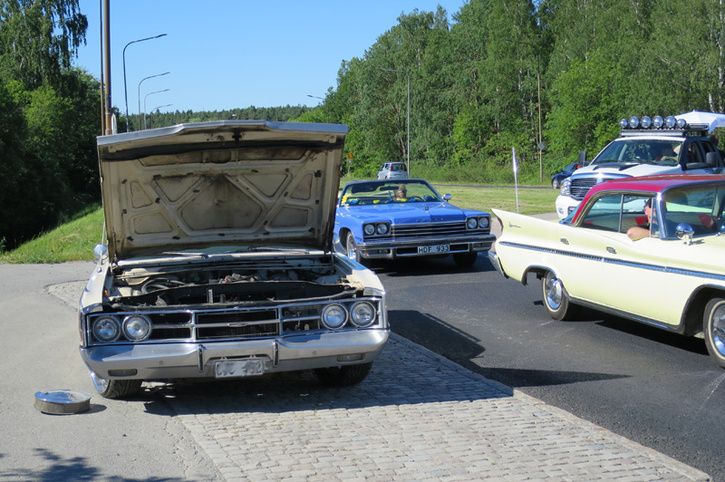 bild3.jpg