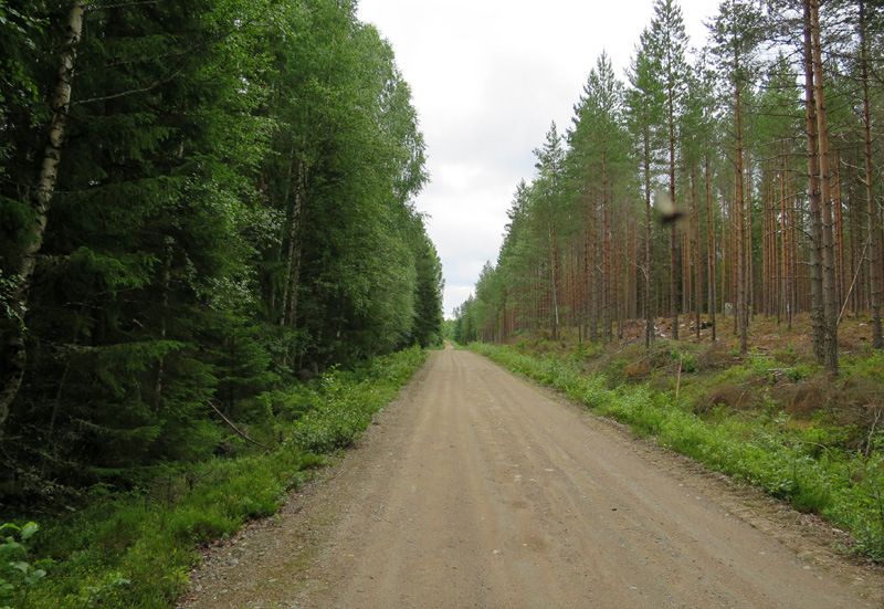 bild3.jpg