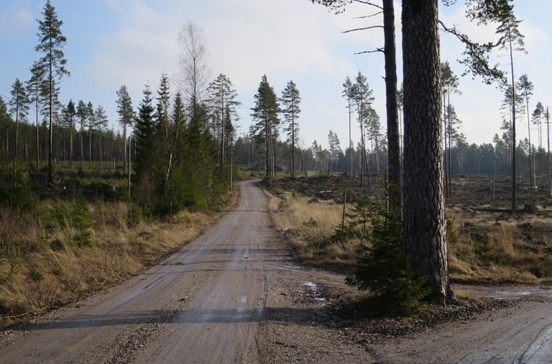 bild35.jpg