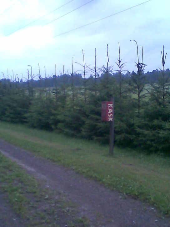 Bild350.jpg ht=725