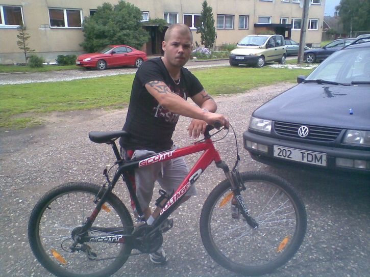 Bild351.jpg ht=544
