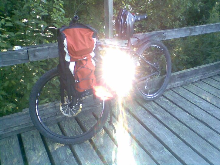 Bild387.jpg ht=544