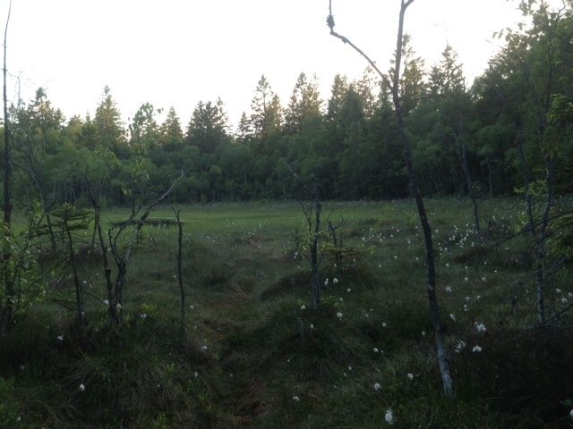 bild4.JPG